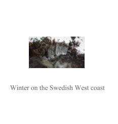 Winter on the Swedish West coast book cover