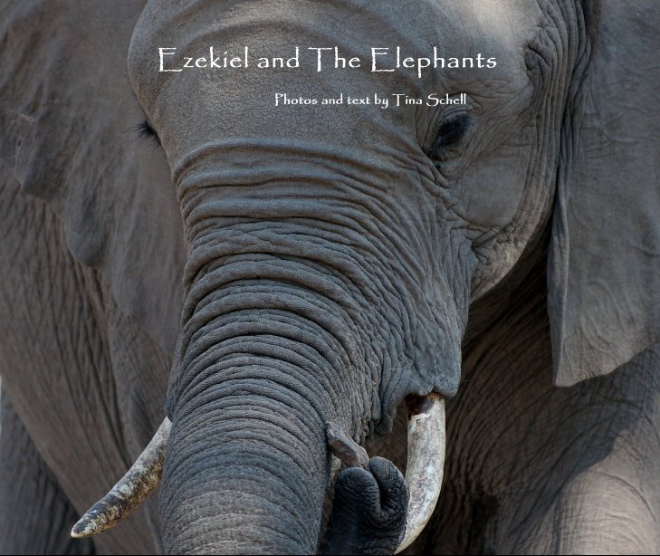 Ezekiel and The Elephants nach Tina R Schell anzeigen