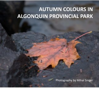 Autumn Colours in Algonquin Park book cover