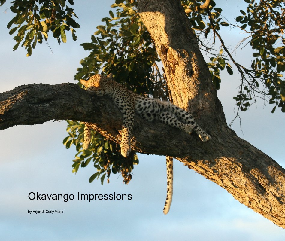 Bekijk Okavango Impressions op Arjen & Corly Vons