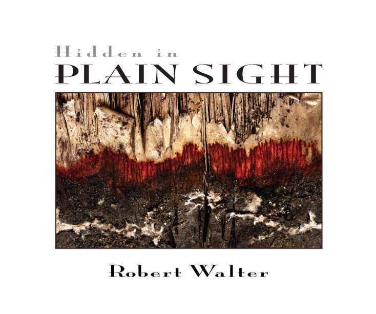 Ver Hidden In Plain Sight por Robert Walter