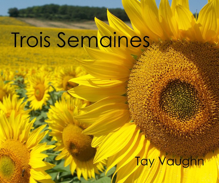 View Trois Semaines by Tay Vaughn