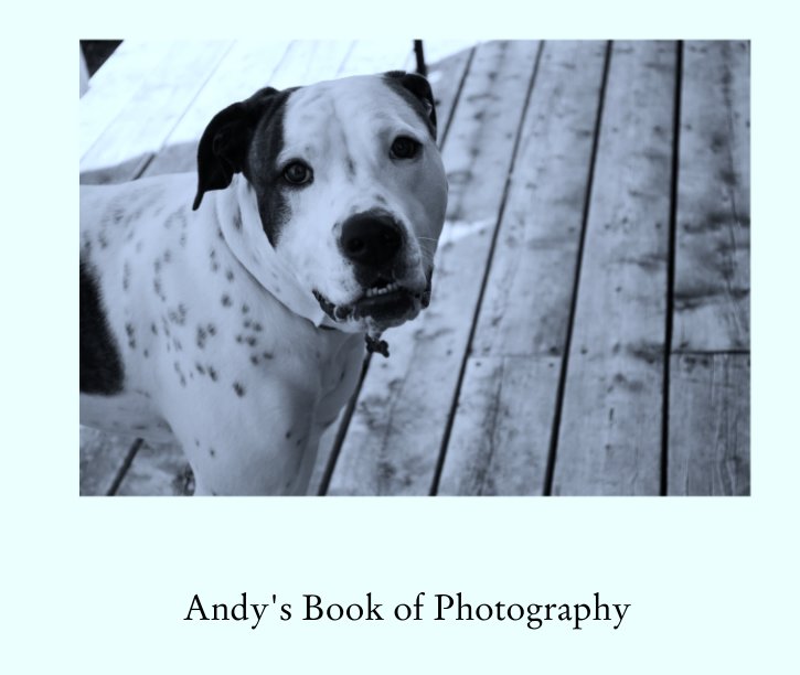 View Andy's Book Of Photography by Andrew Hamblin