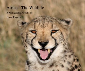 Africa - The Wildlife book cover