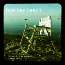 bombay beach (softcover) book cover