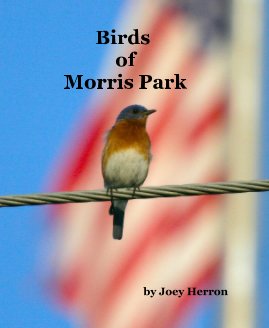 Birds of Morris Park book cover