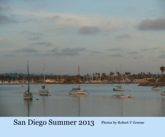 San Diego Summer 2013 book cover
