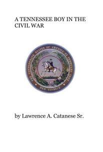 A TENNESSEE BOY IN THE CIVIL WAR book cover