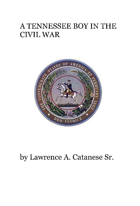 View A TENNESSEE BOY IN THE CIVIL WAR by Lawrence A. Catanese Sr.