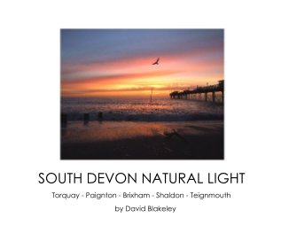 SOUTH DEVON NATURAL LIGHT book cover