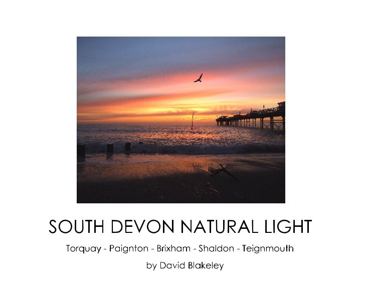 Visualizza SOUTH DEVON NATURAL LIGHT di David Blakeley
