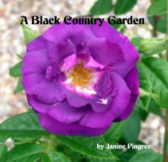A Black Country Garden book cover