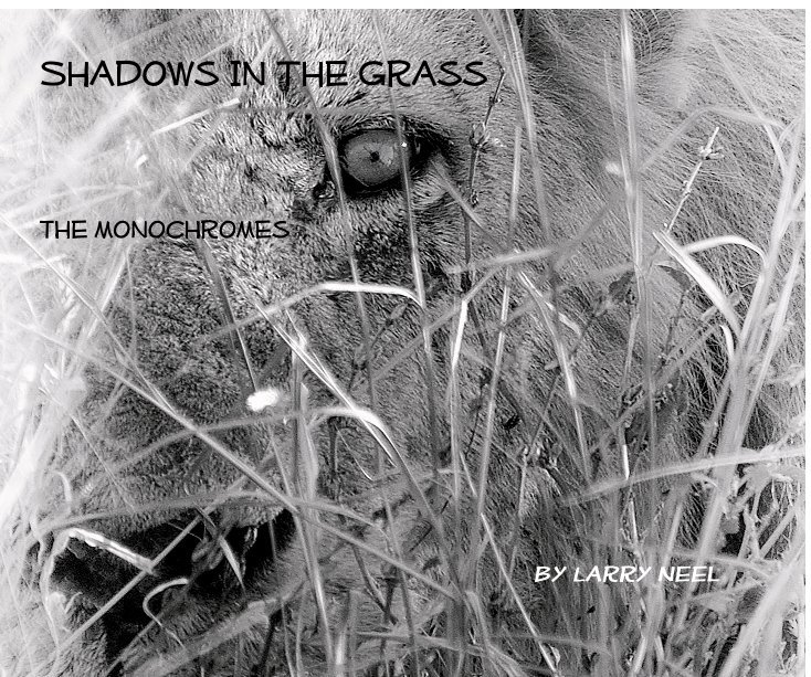 View Shadows In The Grass by Larry Neel