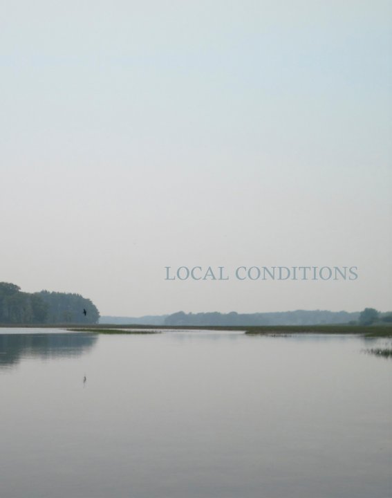 View Local Conditions by Peregrine Press