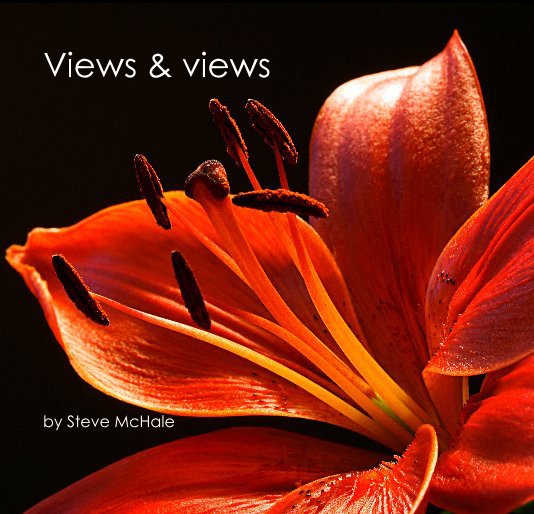 View Views & views by SteveMcHale