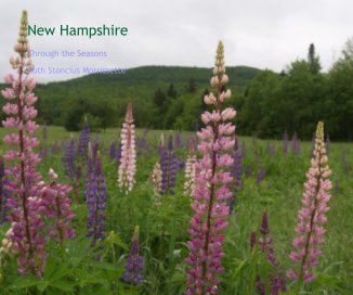 New Hampshire book cover