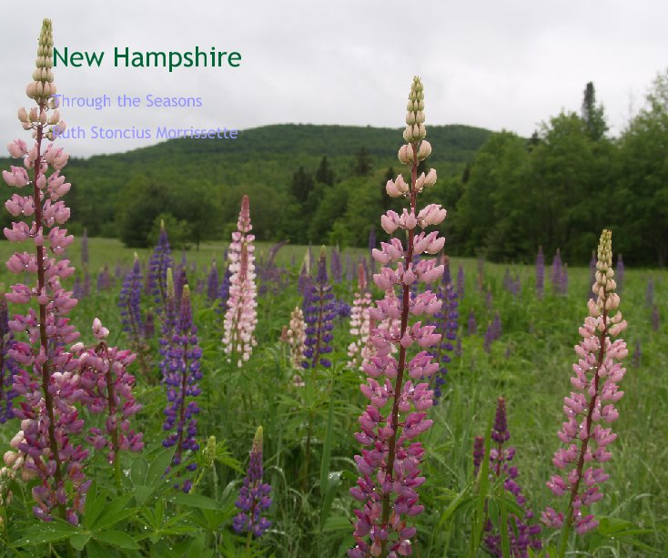 View New Hampshire by Ruth Stoncius Morrissette