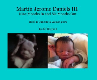 Martin Jerome Daniels III Nine Months In and Six Months Out book cover