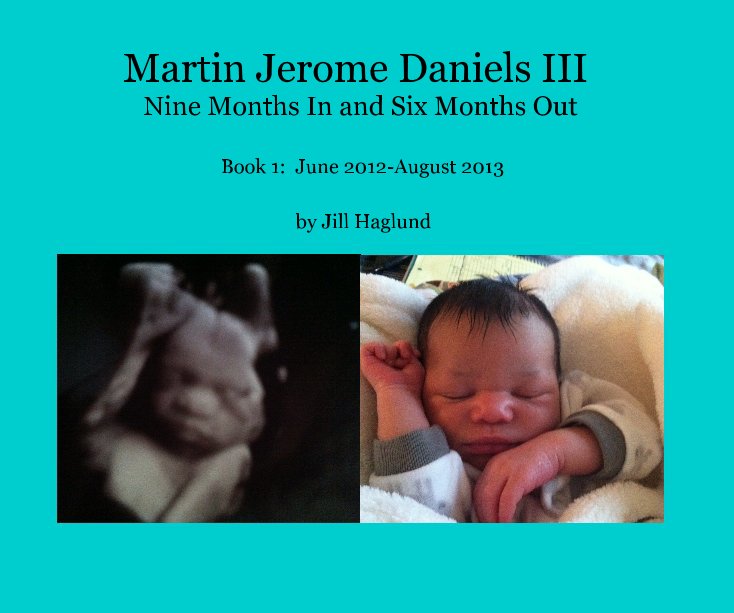 Visualizza Martin Jerome Daniels III Nine Months In and Six Months Out di Jill Haglund