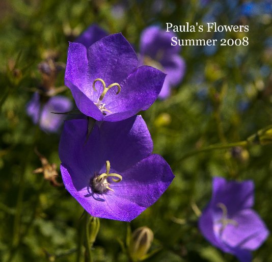 Ver Paula's Flowers Summer 2008-7 x 7 Format-Softcover-Hardcover por Bill Warnke