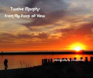 Twelve Months From My Point of View book cover