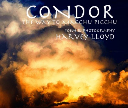 CONDOR book cover