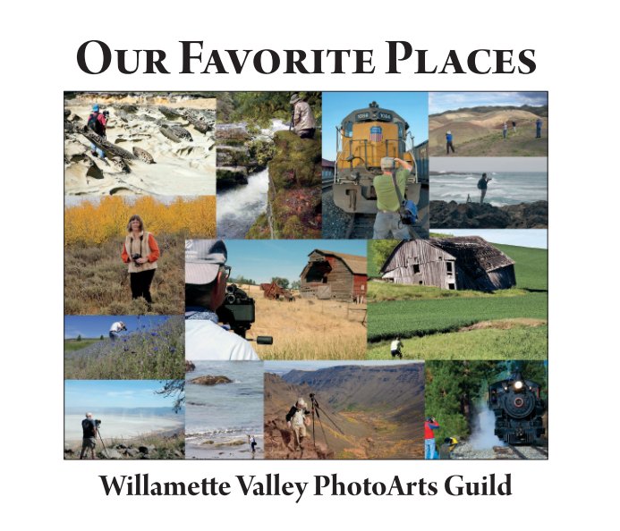 Ver Our Favorite Places por Edited by Rich Bergeman