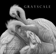 Grayscale book cover