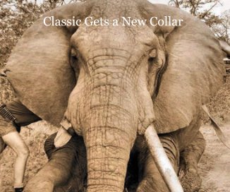 Classic Gets a New Collar book cover