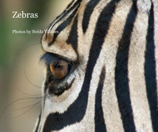 Zebras book cover