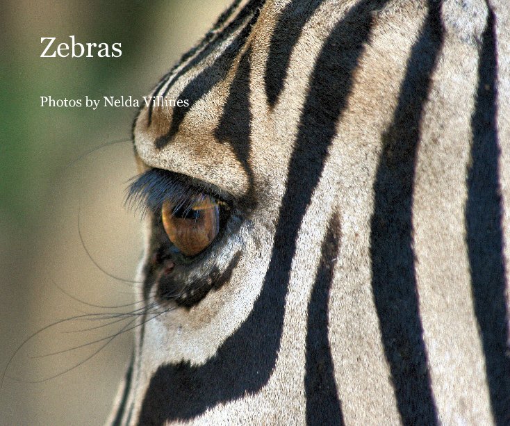 View Zebras by Nelda Villines