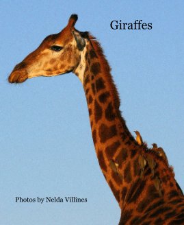 Giraffes book cover