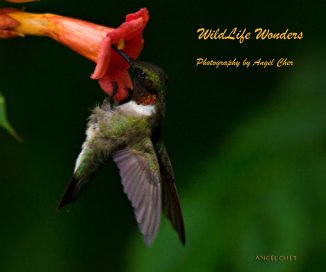WildLife Wonders Photography by Angel Cher book cover