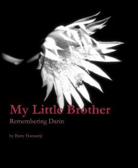 My Little Brother - Remembering Darin by Barry Harnamji book cover
