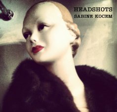 HEADSHOTS book cover