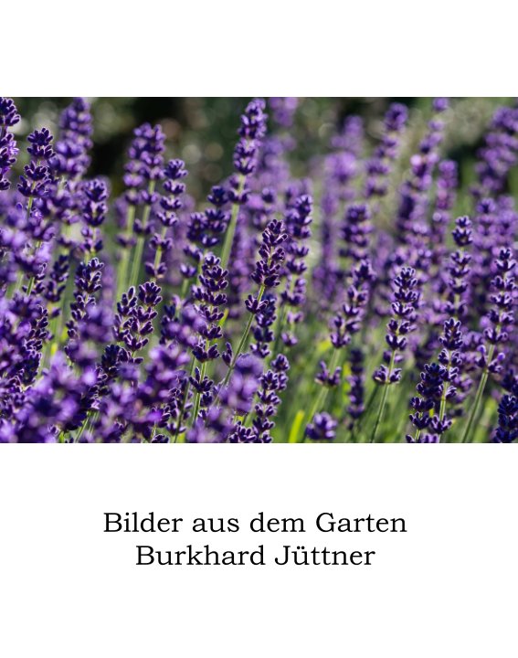 View Bilder aus dem Garten by Burkhard Jüttner
