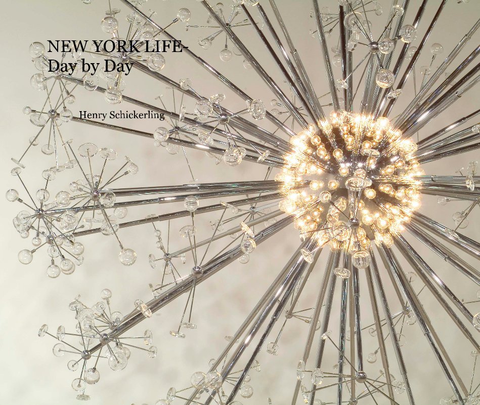 NEW YORK LIFE- Day by Day by Henry Schickerling | Blurb Books