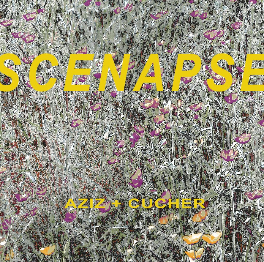 View Scenapse by Aziz + Cucher