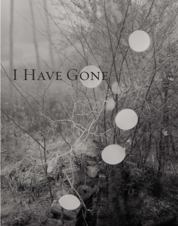 View I Have Gone by Pradip Malde