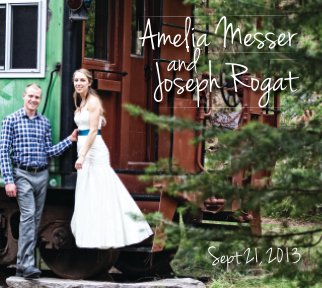Joe & Amy Got Married book cover