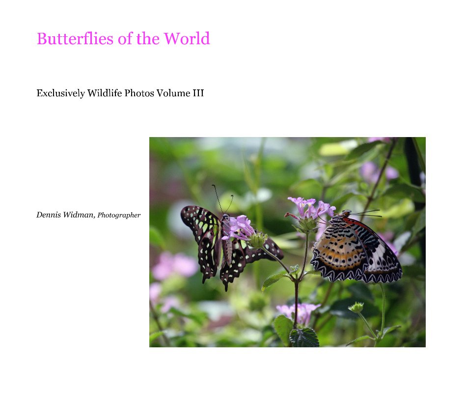 Bekijk Butterflies of the World op Dennis Widman, Photographer