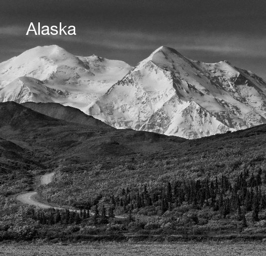 View Alaska by Denise Silva