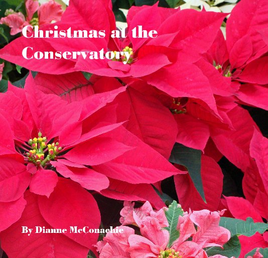 View Christmas at the Conservatory by Dianne McConachie