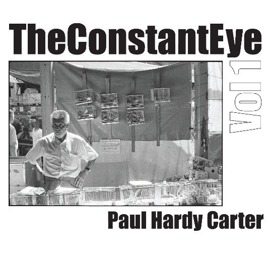 View The Constant Eye, Vol. 1 - Small Format by Paul Hardy Carter