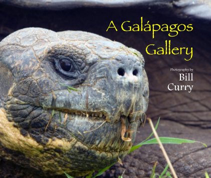 A Galapagos Gallery Photography by Bill Curry book cover