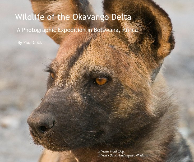 View Wildlife of the Okavango Delta by Paul Click