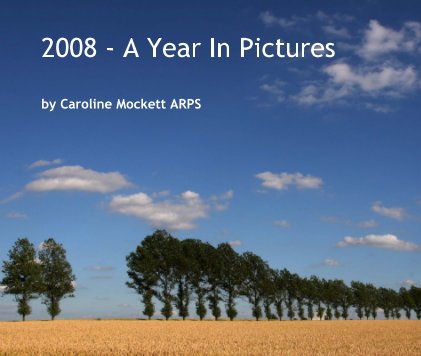 2008 - A Year In Pictures book cover
