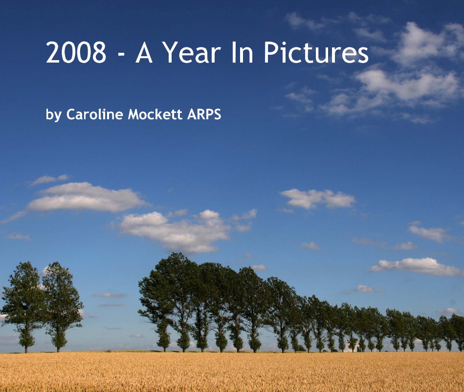 View 2008 - A Year In Pictures by Caroline Mockett ARPS