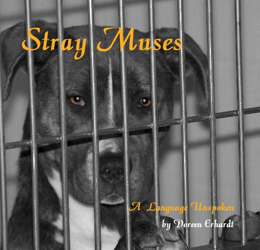 View Stray Muses by Doreen Erhardt