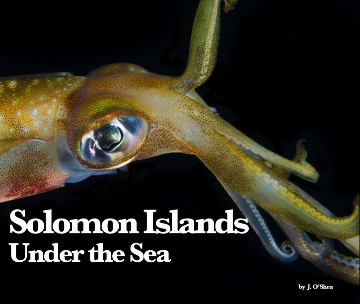 View Solomon Islands by J. O'Shea
